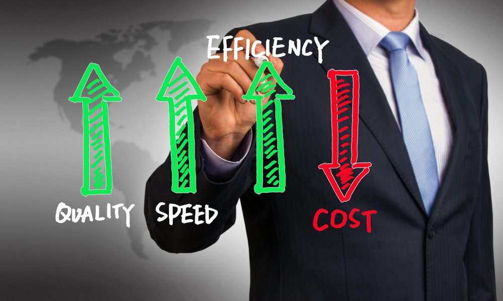 Maximizing Cost Efficiency - VertPro®